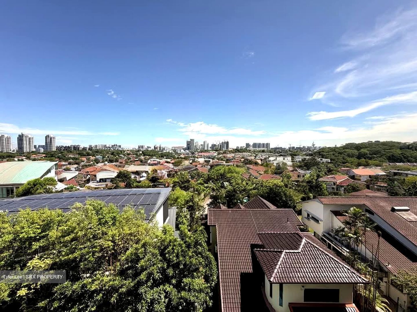 Bukit Timah Road (D10), Detached #544327171